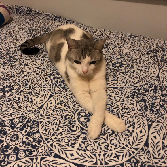 Meet your Posher, Maria - Picture 1 of 1